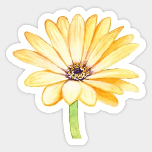 Yellow gerbera flower Sticker